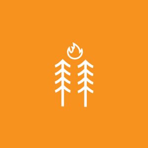 Forest Fire Icon for Everdrone