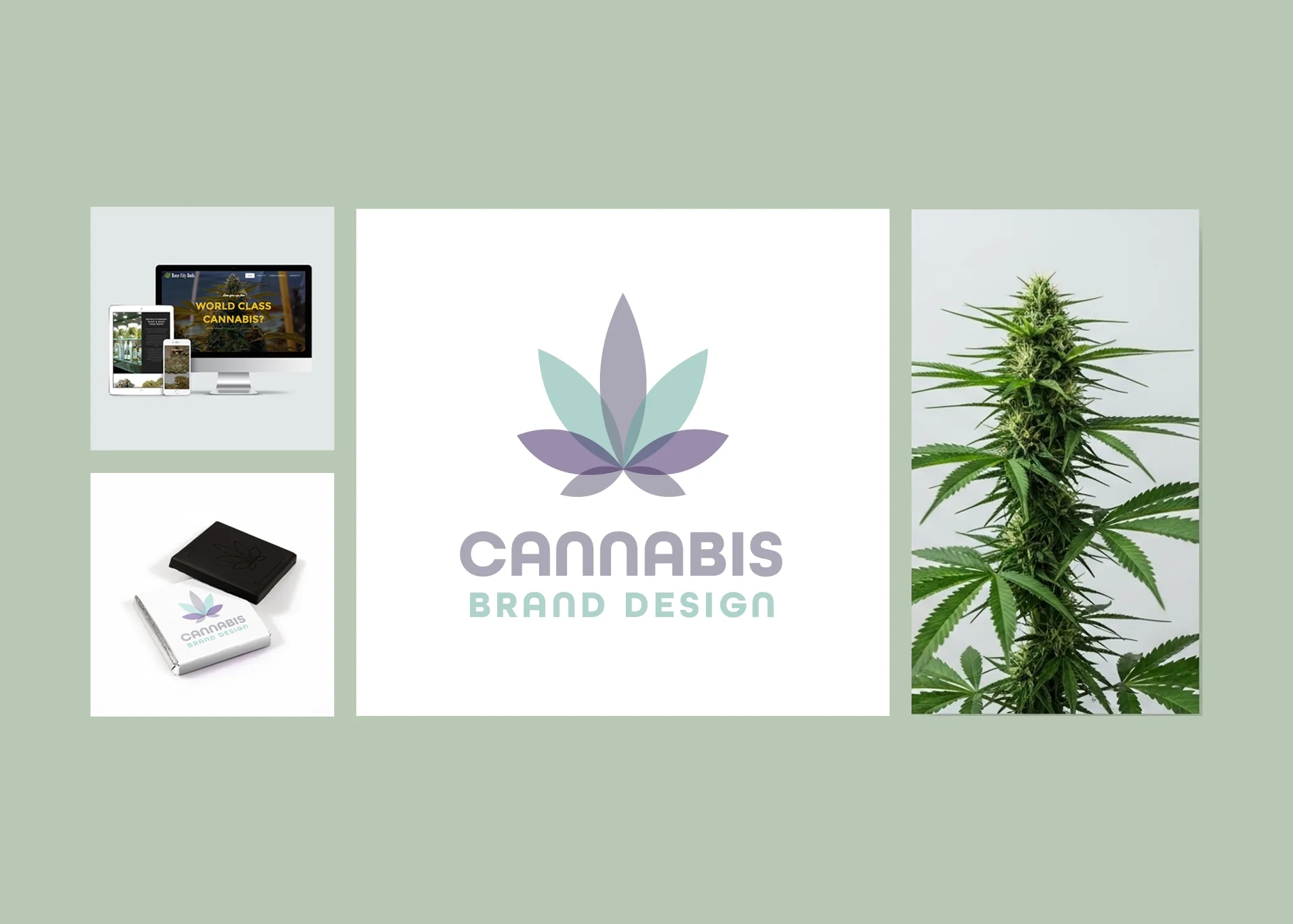 Cannabis Brand Design by Mark Boehly - Graphicsbyte